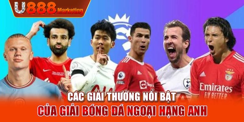 Các giải thưởng nổi bật của giải bóng đá Ngoại Hạng Anh