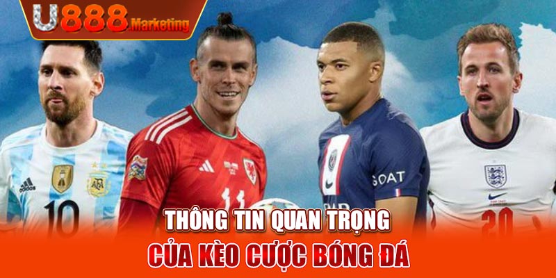 Thông tin quan trọng của kèo cược bóng đá